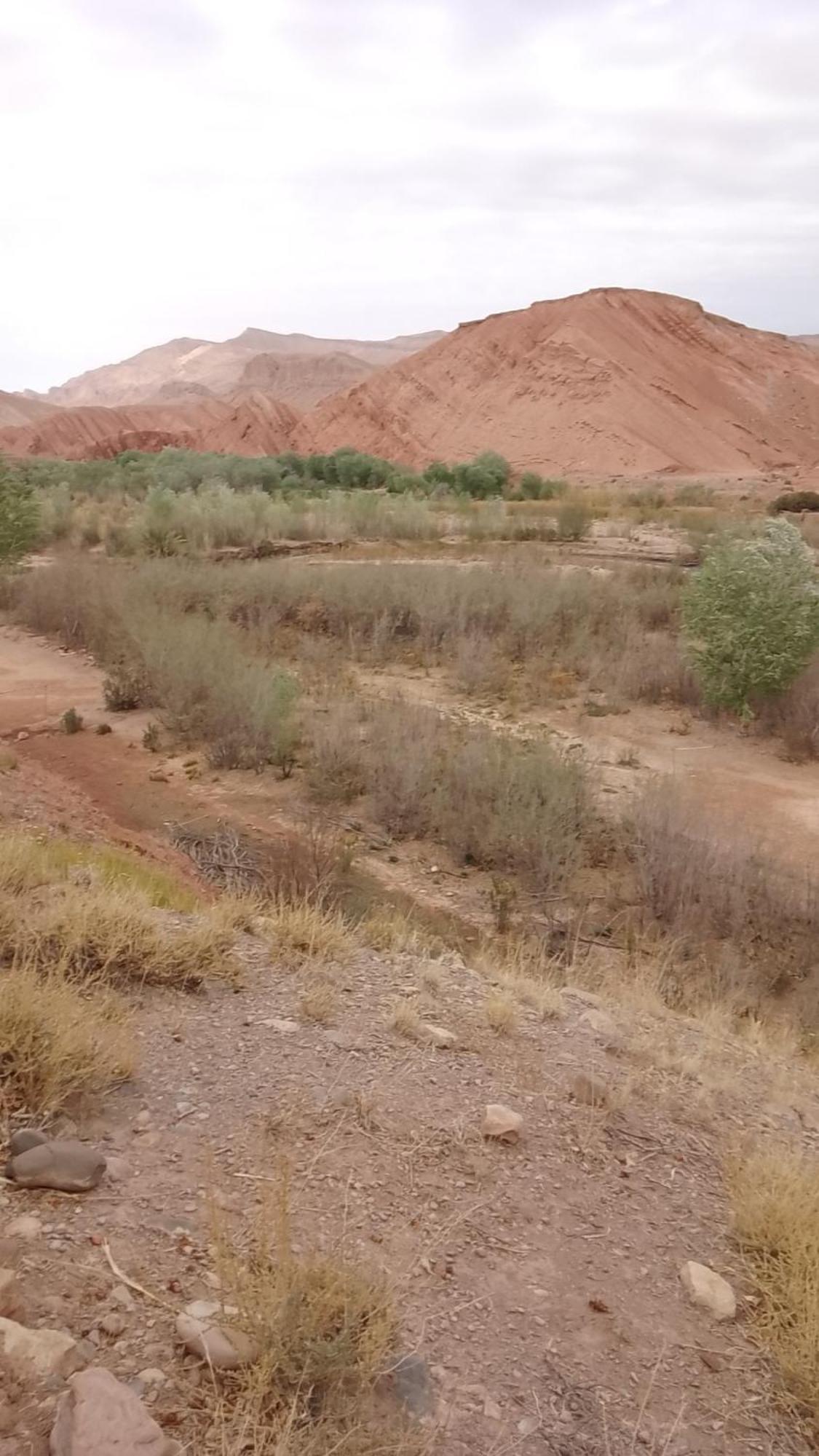 Kasbah Tialouite Ξενοδοχείο Kelaat-M'Gouna Εξωτερικό φωτογραφία
